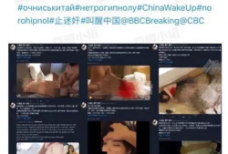 国内直播自拍91,热门现象背后的故事与影响